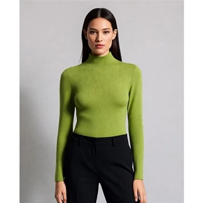 পাঁজর ভদ্রমহিলা ডিজাইনার বুনা Turtlenecks